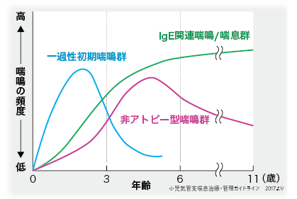 喘息フェノタイプ