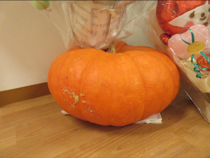 かぼちゃ